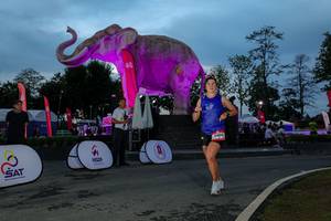 BIB: 
                            <button type="button" onclick="openModal(26529697)" class="btn btn-primary btn-sm float-right btn-popup" data-toggle="modal" data-target=".modal-high-quality">
                        <i class="fas fa-shopping-cart"></i> Add to Cart
                    </button>
                                            <button type="button" onclick="isThisMe(26529697, true)" class="btn btn-success btn-sm float-right btn-popup btn-isme hidden" data-toggle="tooltip" data-placement="bottom" title="นี่คือรูปของคุณใช่ไหม คลิกที่นี่เพื่อเอาเข้าอัลบั้ม">
                        <i class="fas fa-plus"></i> Add to album
                    </button>
                    <button type="button" onclick="isThisMe(26529697, false)" class="btn btn-warning btn-sm float-right btn-popup btn-isnotme hidden">
                        <i class="fas fa-ban"></i> Remove from album
                    </button>